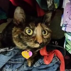 Meet your Posher, Bob